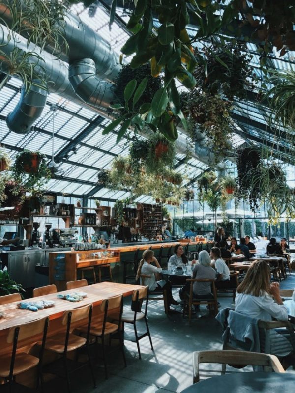 دکور منحصربه‌فرد یک رستوران با گل‌ها و گیاهان