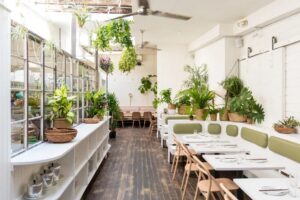 نمای داخلی یک رستوران که با گیاهان آپارتمانی زیباسازی شده است